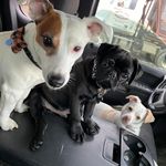 Tammy Ullman - @crazy_tammy_ - Instagram