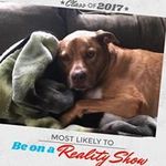 Tammy Hanna-Pyle - @hannapyle - Instagram