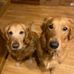 Tammy Quade - Facebook