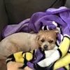 tammiquam - @tammiquam - TikTok