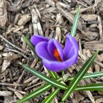Tammy Quam Paulson - @tamraq - Instagram