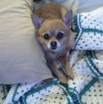 Tammy Quesada - Facebook