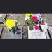 Tammy Racey - Facebook