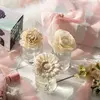 Tammy radcliff - @tammy04219 - TikTok