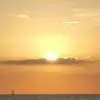 Tammy Davis Rayfield - @tammy.davis.rayfi - TikTok