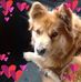 Tammy Reames - Facebook