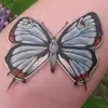 tammyresch787 - @tammyresch787 - TikTok