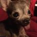 Tammy Rice - Facebook