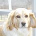 Tammy Rice - Facebook