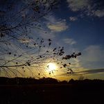 Tammy Richey - @ramiregobbving234 - Instagram