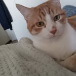 Tammy Richey - @trichey0511 - Instagram