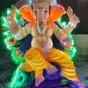Zeenat_Sabunwala - @tammy.rickerr - TikTok