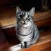 Tammy Ricketts - Facebook