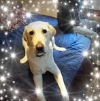 Tammy Riddle - Facebook