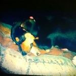 Tammy Riddle - @tammy_riddle - Instagram