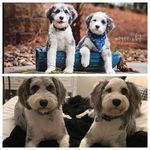 Tammy Sanner-Rigdon - @tammy_rigdon - Instagram