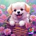 Tammy Risley - Facebook