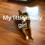Tammy Ritter - @rittermeme - Instagram