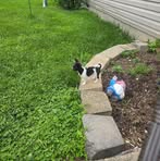 Tammy Ritter - Facebook