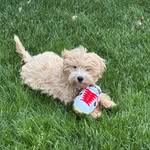 Tammy Smith Ritter - @smithritter - Instagram