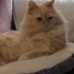 Tammy Roark - @roark.t - Instagram