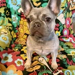 Tammy Roark - Facebook