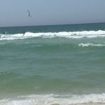 Tammy Roark - @tammy.roark.18 - Instagram