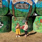 Tammy Ronnie Roark - @tammy_r44 - Instagram