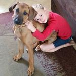 Tammy Roberson Woof - @trwoofer - Instagram