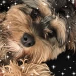 Tammy Porter Robichaud - @tammy.p.robichaud - Instagram