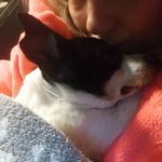Tammy Rock - @rockglamgirl16 - Instagram