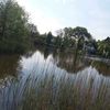 tammo - @tammo.rodenbäck - TikTok
