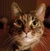 Tammy Roe - Facebook