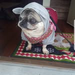 Tammy Roe - @roetm1967 - Instagram