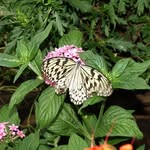 Tammy Rohner - @grapmom18 - Instagram