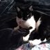 Tammy Rosser - Facebook