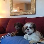Tammy Rouse Billing - @billingtammy - Instagram