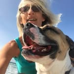 Tammy Bauer - @tammyrules - Instagram