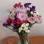 Tammy Rummel Witcombe - @tammywitcombe - Instagram