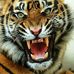 Tammy Rupp - Facebook