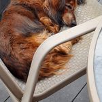 Tammy Ruppert - @rupperttammy - Instagram