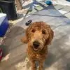 Tammy Ruppert - @tammy.ruppert - TikTok