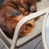 Tammy Ruppert - @tammy.ruppert2 - TikTok