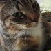 Tammy Rusch - Facebook
