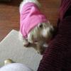 tammyrushing35 - @tammyrushing35 - TikTok