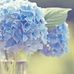 Tammy Ruth - Facebook