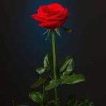 Tammy ruth - @tammy_sruth43 - Instagram