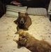 Tammy Ryder - Facebook