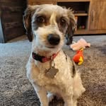 Tammy Samson - @tammylu2010 - Instagram
