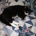 Tammy Samson - Facebook